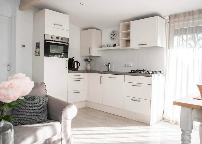 Sunny, Lekker Uitwaaien Op Het Strand!