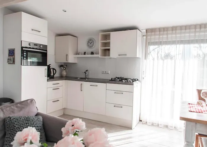 Sunny, Lekker Uitwaaien Op Het Strand!