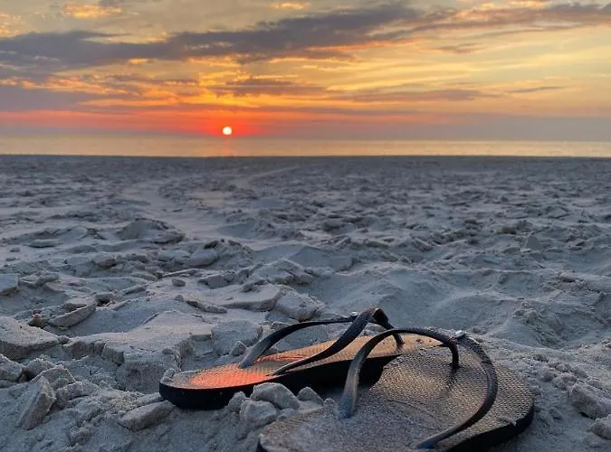 Sunny, Lekker Uitwaaien Op Het Strand! *