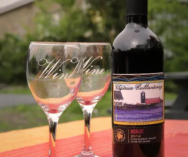 Sunny, Lekker Uitwaaien Op Het Strand! Vakantiehuis *